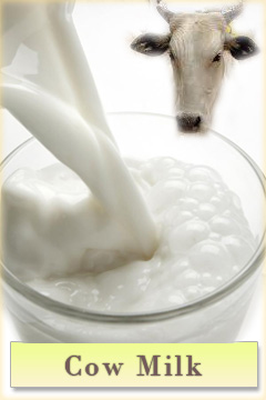 Cow Milk