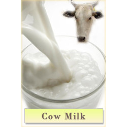 Cow Milk