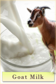 Goat Milk