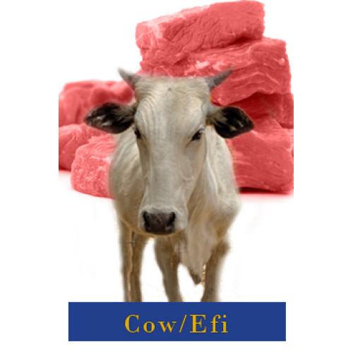 Cow Meat (Beef)