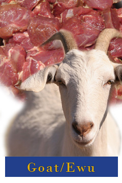 Goat Meat (Anu Ewu)