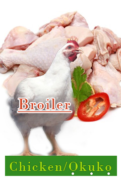 Chicken Meat (Broilers)