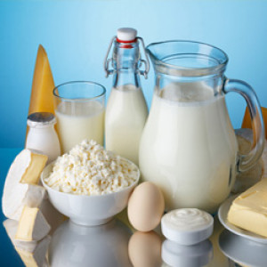 Dairy and Milk